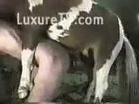 Horse farm sex with a zoophilia babe